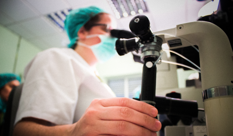 Fallo del I PREMIO CIVISUR para tesis doctorales